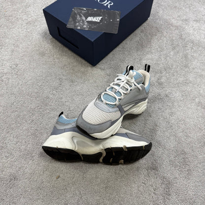Dior B22 Trainer