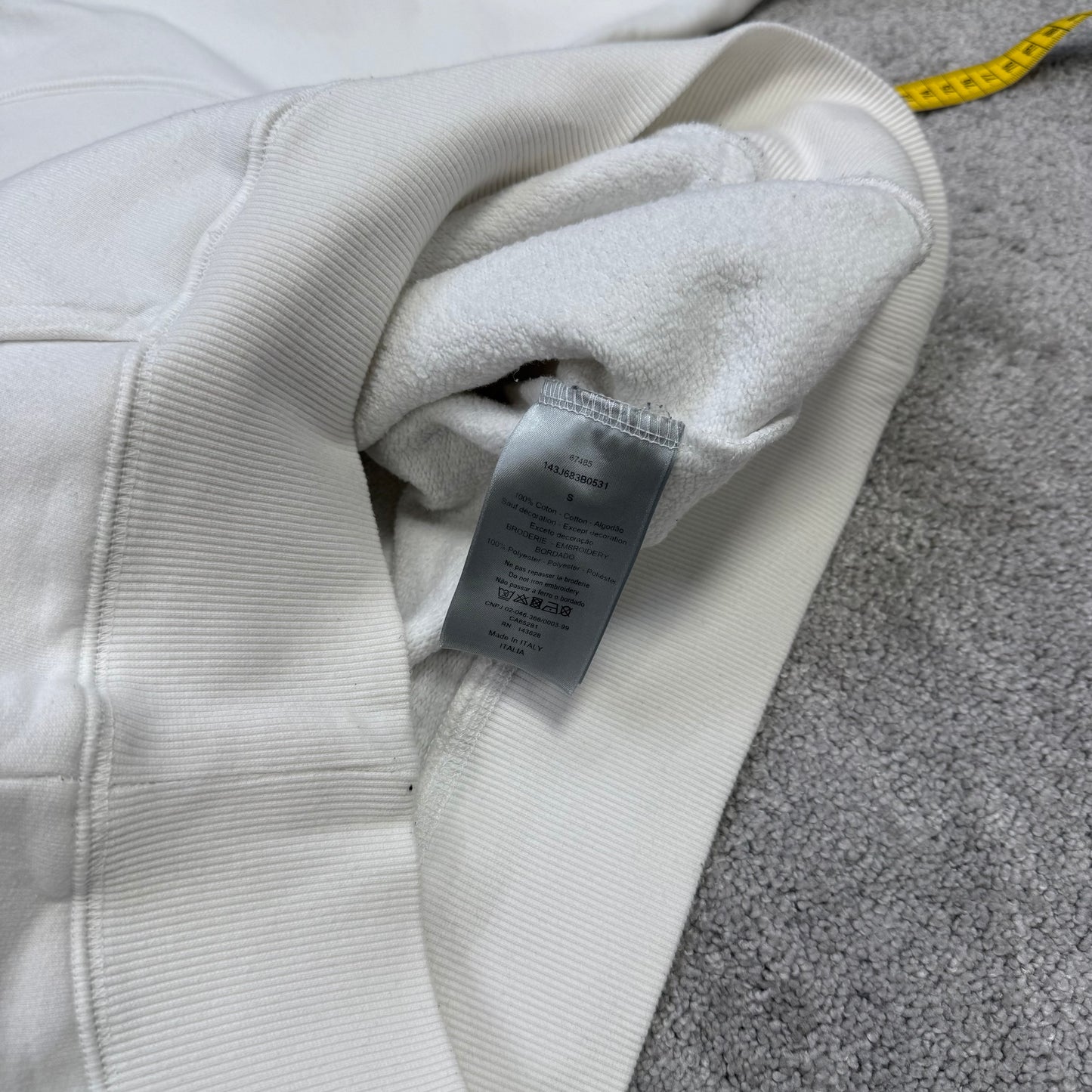 Dior X Peter Doig Hoodie