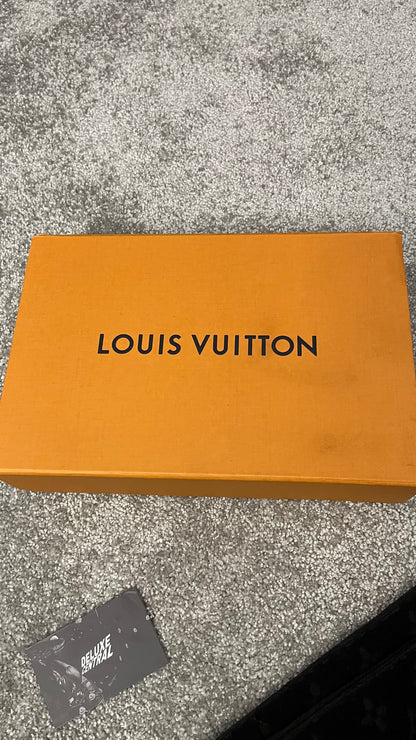 Louis Vuitton Monogram Scarf