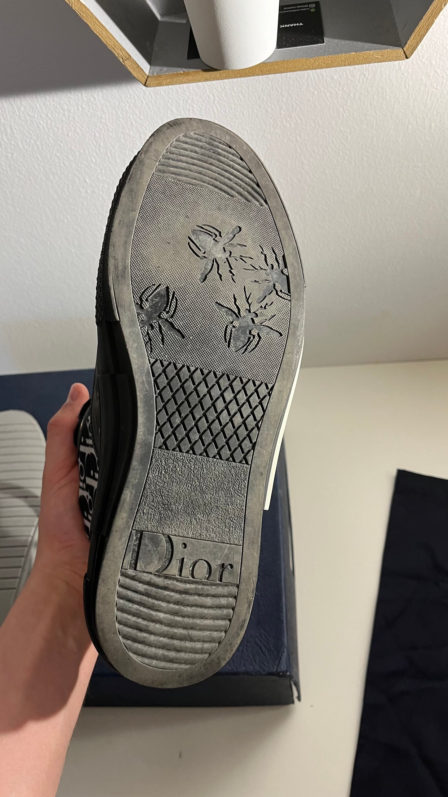 Dior B23 High-Top Sneaker