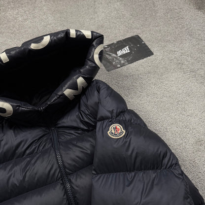Moncler Salzam Down Jacket
