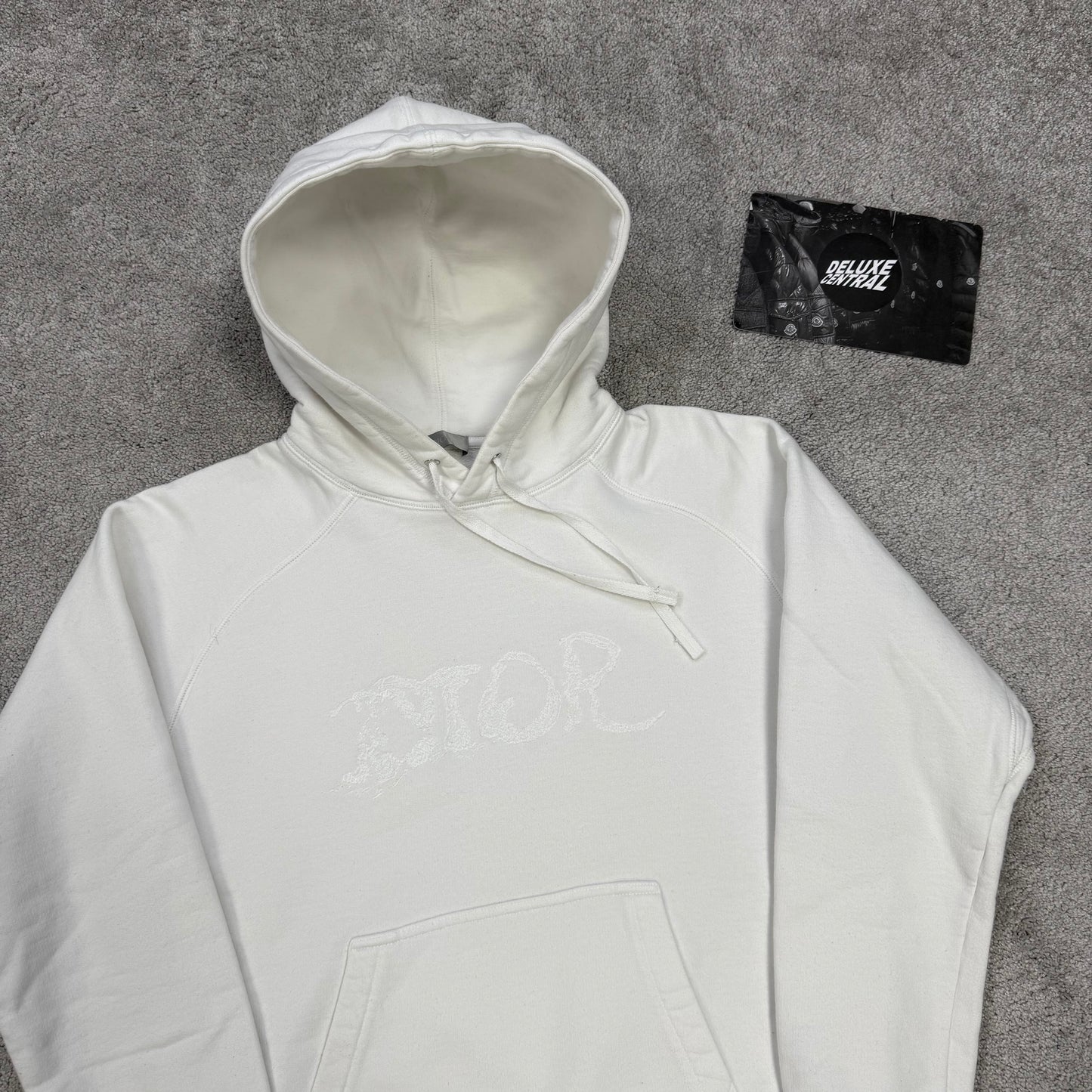 Dior X Peter Doig Hoodie