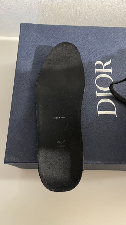 Dior B23 High-Top Sneaker