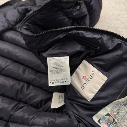 Moncler Ray Gilet Hooded Vest